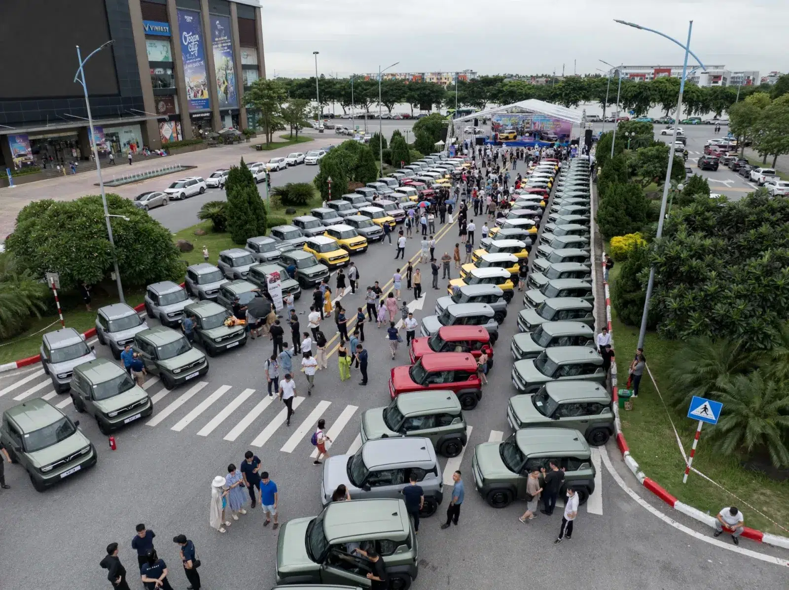 gia-xe-vf-3-tai-can-tho-6